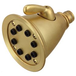 Good shower head # D86-007- Are Sheng Plumbing Industry